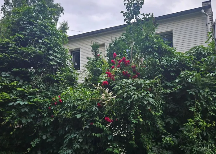 Apartment Ewa Orlowo